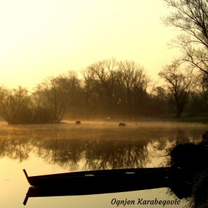 Morning on the lake